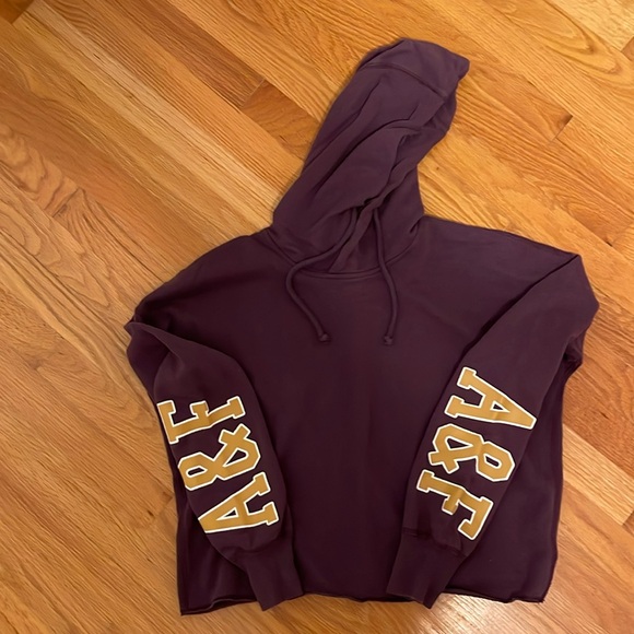 Abercrombie & Fitch Size XS dark plum hoodie. - Picture 1 of 5